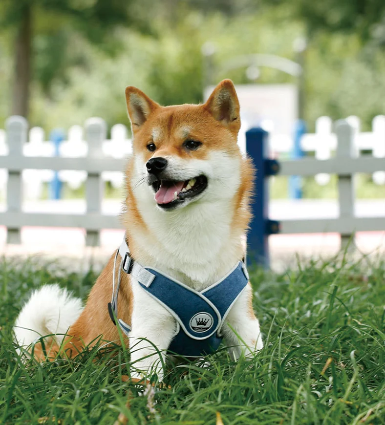 Adjustable dog harness and cat harness vest for small, large dogs and cats, reflective mesh puppy chest strap, safe dog — photo 8
