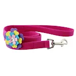 Rose RedLeash