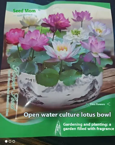 Image product - 2