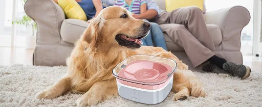 Title 8, Dog Water Bowl 2L No Spill Large Capacity Spill...
