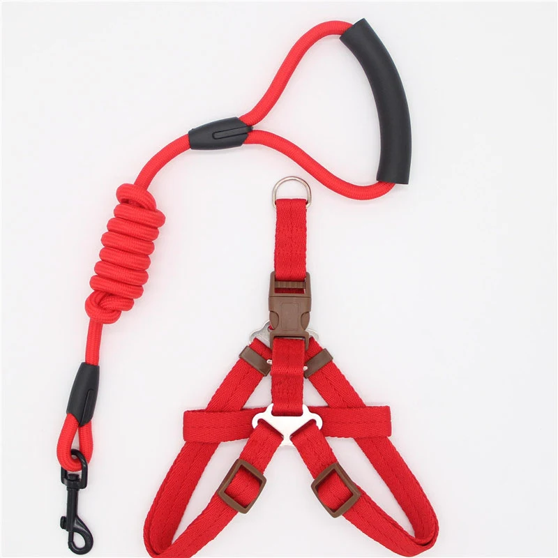 Simple Dog Leash for Comfortable Walks Secure and Durable Control Easy to Use Design Perfect for Daily Walks and Trainin — photo 14