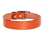 Brown Collar