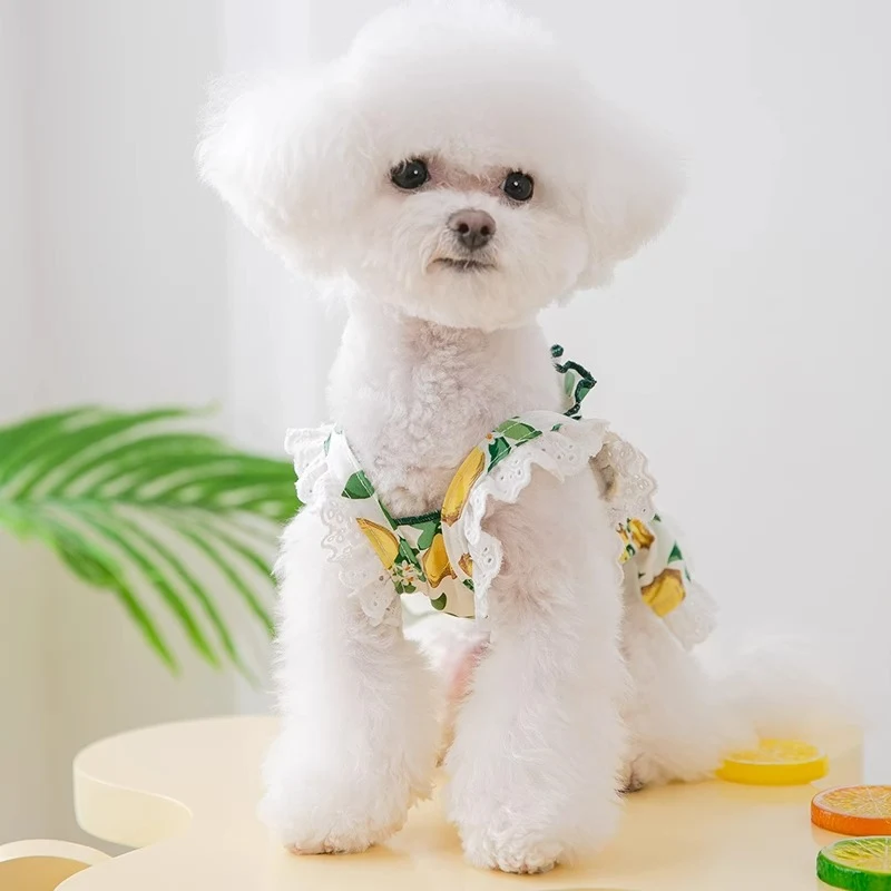 Köpekler için ince, nefes alabilen askılı elbise. Sıcak havalarda konfor ve serinlik sağlar. Yaz ayları için mükemmel, hafif ve şık bir kıyafet. — Fotoğraf 6
