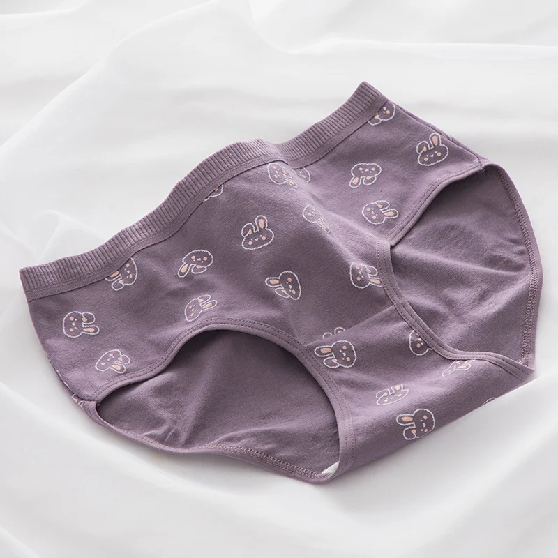 Schattige Katoenen Onderbroek met Konijn, Mid Waist, Comfortabel en Ademend, Perfect voor Dagelijks Gebruik — foto 2