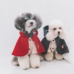 Autumn and winter pet clothes. Warm jackets, coats, and sweaters for dogs and cats. Keep your pet cozy and protected fro — photo 2
