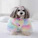 Colorful
