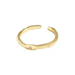 JZ49618K Gold