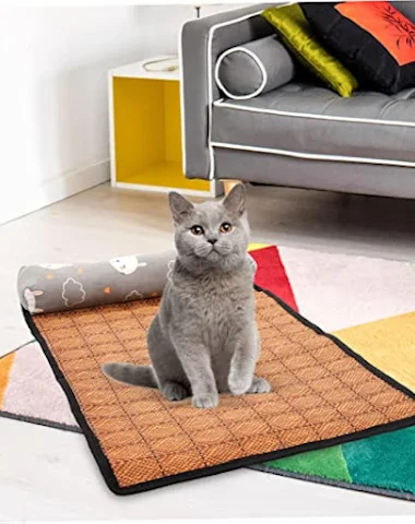 Image product - 2