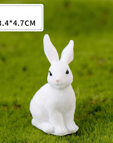 Image product - 0