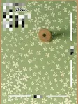 Color13