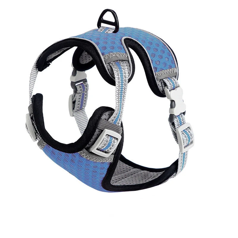Title 6, Enjoy cat walks safely! "Going Out For A Cat Wa...