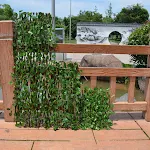 miniatures image - 9