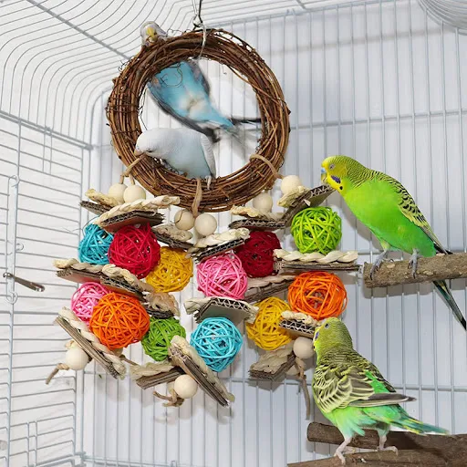 Title 6, Parrot Gnawing Rattan Ring Toy. A natural chewa...