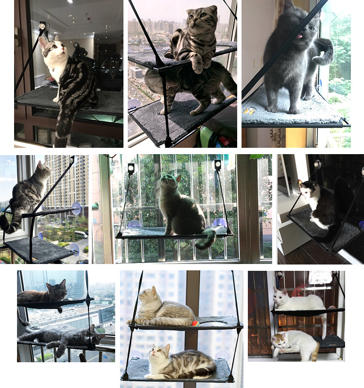 Cama para gatos hamaca para gatos removible y lavable con ventosas súper fuertes cojín para gatos alféizar ventana arenero — foto 7