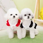 miniatures image - 17