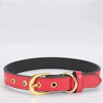 Plain Pet Collar Gold Buckle PU Stylish and Durable for Dogs and Cats Comfortable and Adjustable in a Range of Sizes — photo 1