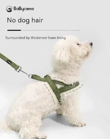 Image product - 0