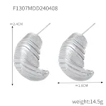 F1307 Steel Earrings