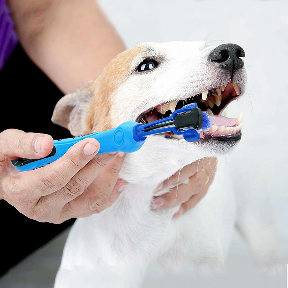 Random color toothbrush pet plush dog brush plus dental cleaning supplies for dogs and cats. Helps with bad breath, tart — photo 56