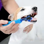 Random color toothbrush pet plush dog brush plus dental cleaning supplies for dogs and cats. Helps with bad breath, tart — photo 56
