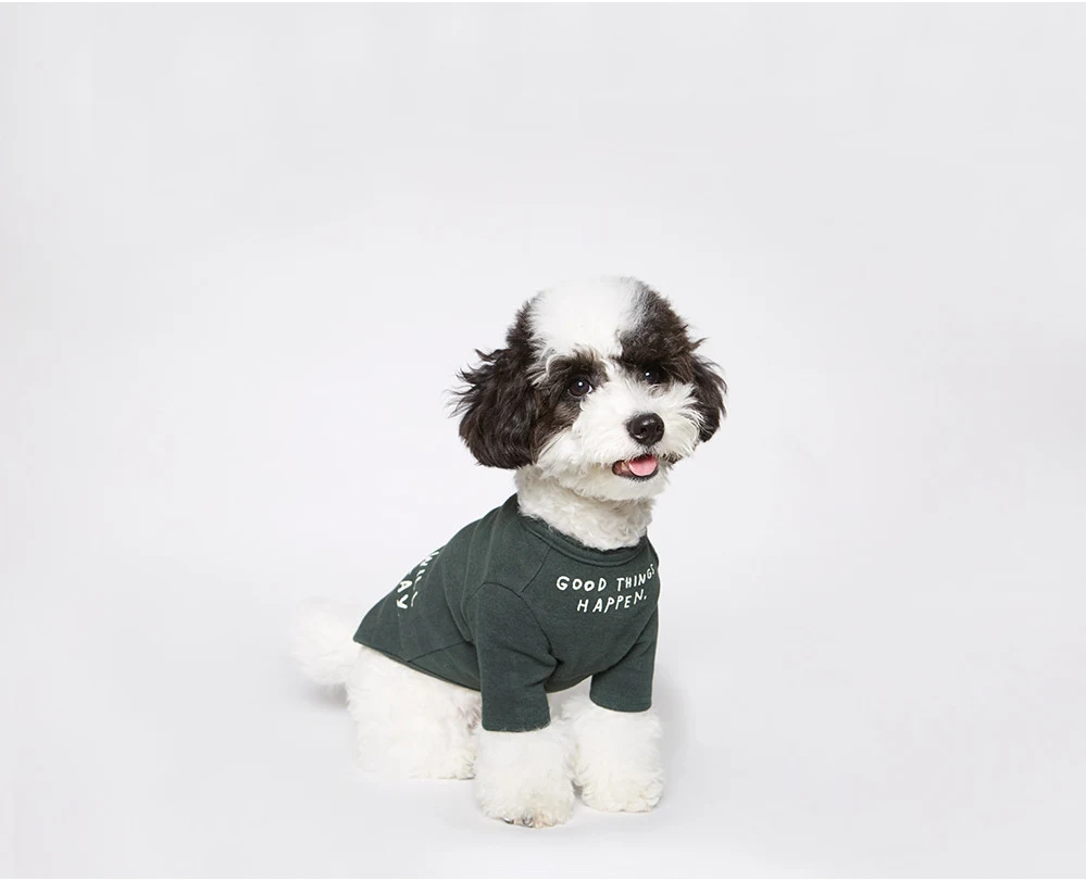 INS Wind Letter Printing Simple T Shirt Pet Clothing. Comfortable dog and cat apparel, perfect for a casual, stylish loo — photo 1
