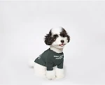 INS Wind Letter Printing Simple T Shirt Pet Clothing. Comfortable dog and cat apparel, perfect for a casual, stylish loo — photo 1