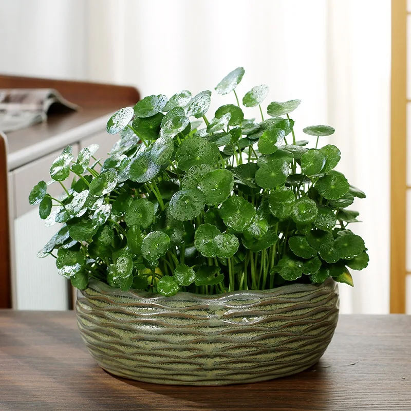 product image - 9