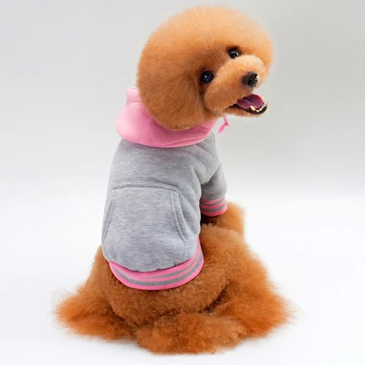 Title 4, High-end pet clothes color matching sweater wit...