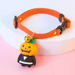 Pumpkin Man