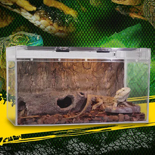 Reptile Feeding Box Transparent Acrylic Reptile Terrarium Enclosure For Reptiles Lizard Turtle Mantis 360° Panoramic Vie — photo 6