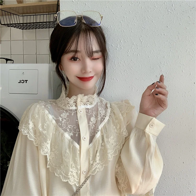 Title 12, French Vintage Lace Shirt Long Sleeve Half High...
