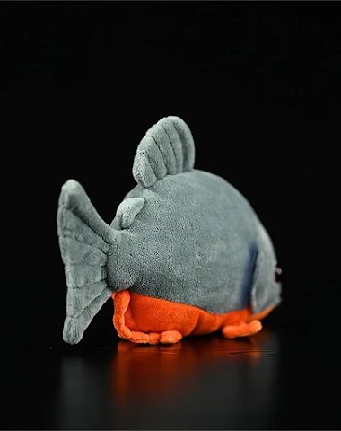 Image product - 2