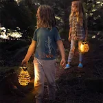 miniatures image - 1
