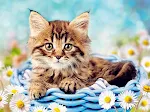 miniatures image - 23