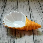 Orange conch