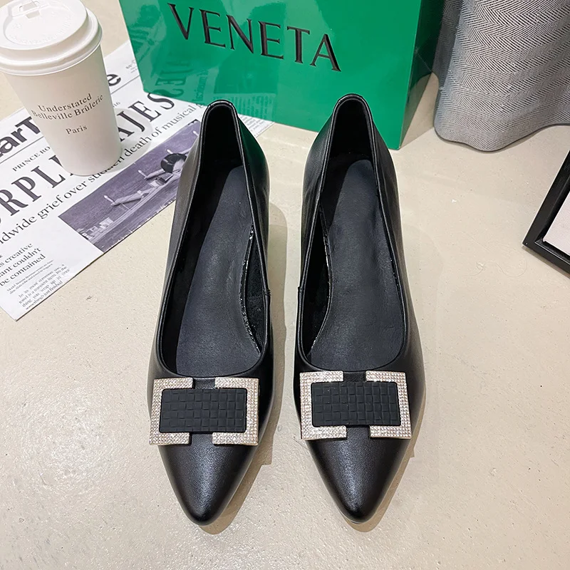 Black Shallow Pointed Toe Fashion Women's Shoes. Stylish and comfortable footwear, perfect for work or a night out. — photo 1