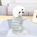 miniatures image - 2