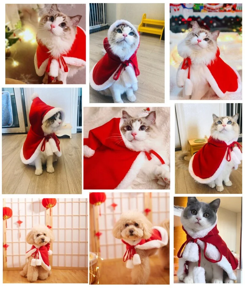 Capa divertida de ropa de gato navideña ¡Transforma a tu gato en el espíritu navideño! Disfruta de la diversión y comodidad de esta capa festiva. — foto 6
