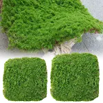 miniatures image - 1