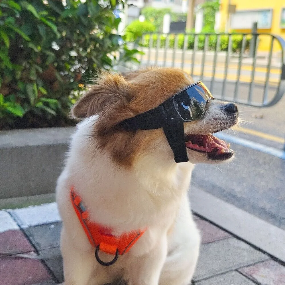Title 4, Dog Goggles Dog Sunglasses Adjustable Strap for...