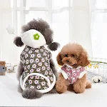 miniatures image - 1