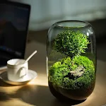 miniatures image - 1
