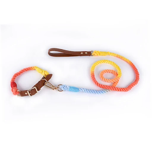 Title 22, Cotton Rope Woven Leather Dog Leash Collar Set ...