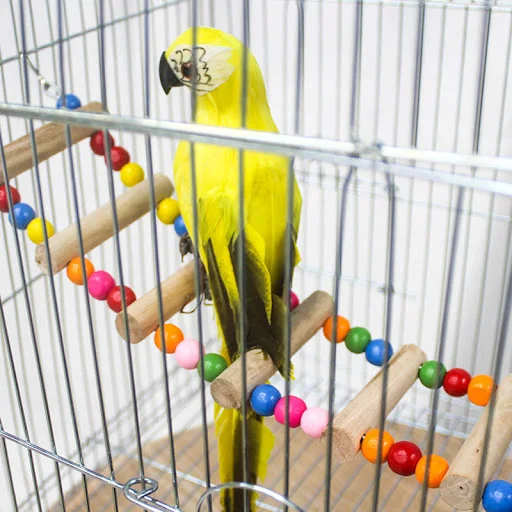 Parrot Pet Bird Wood Ladder Climb Cableway Hamster Toys Rope Parrot Bites Harness Cage Parakeet Budgie Home — photo 4