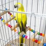 Parrot Pet Bird Wood Ladder Climb Cableway Hamster Toys Rope Parrot Bites Harness Cage Parakeet Budgie Home — photo 4