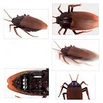 miniatures image - 0