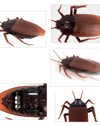 Image product - 0