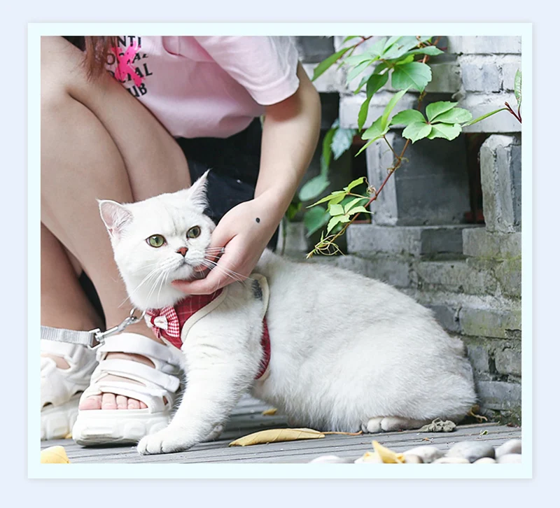 Title 7, Bowknot Cat Harness and Leash Set Adjustable Pu...