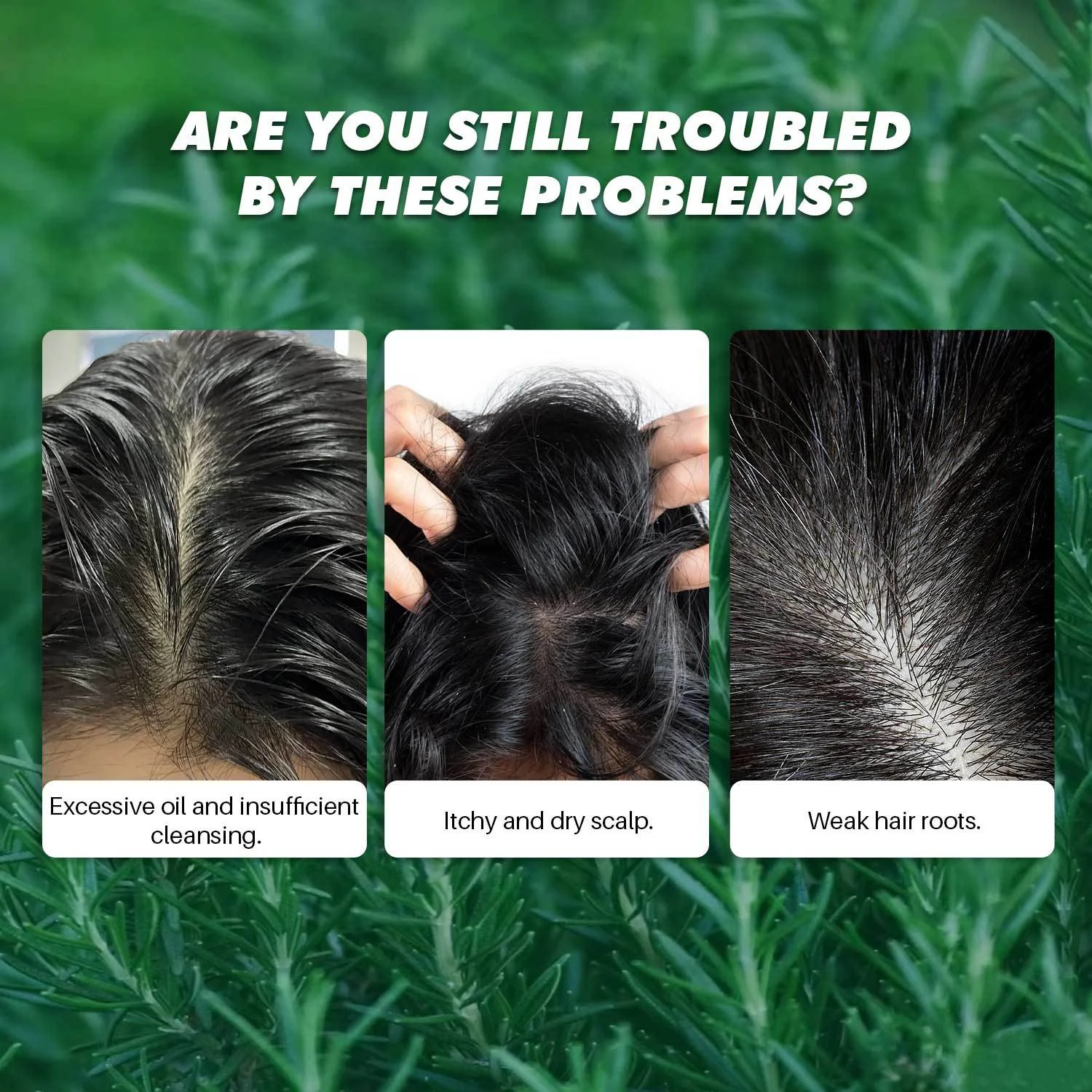 Title 5, Rozemarijn Munt Hoofdhuid Scrub Shampoo met Mas...