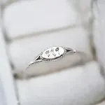 Silver Oval